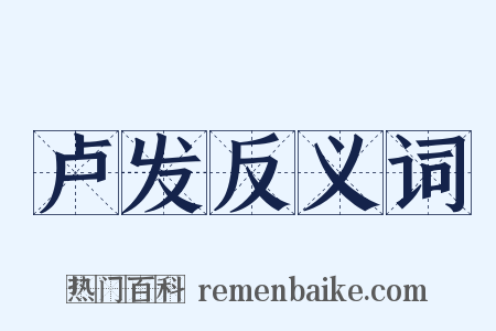 卢发反义词是什么意思的图片